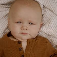 Noel Bishop (@noelphoto_) • Instagram photos and videos