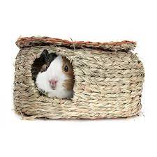 Maybe you would like to learn more about one of these? Reed Hut Guinea Pig House Largest Pet Store In Uae