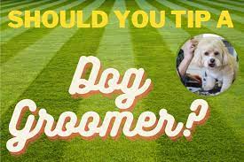 Should i tip my dog's groomer at petsmart? Should You Tip A Dog Groomer Tipping Guide Dogcarelife