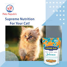 winner plus delicious cat food 100g food animals cat food pets