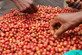 Image result for burundi