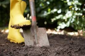Maybe you would like to learn more about one of these? Using Shovels In The Garden Types Of Garden Shovels And Their Uses
