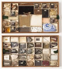 Design Is Fine Educational Specimen Box 1850 England Via V A Curiosity Box Education Design