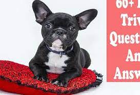 What is a dog's most developed sense? 60 Dog Trivia Questions And Answers Types History Paperblog