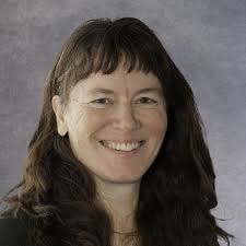 Image result for Ochna hackarsii