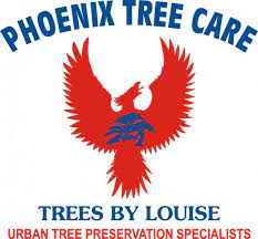 The company employs certified arborists to tackle tree care, tree removal, tree trimming, stump grinding and removal, and landscaping crews to install irrigation, outdoor lighting and planting. Phoenix Tree Care Home Facebook