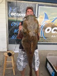 Yerler henrico toplum örgütüdevlet kurumu virginia department of game and inland fisheries. What A Catch Local Fisherman Reels In Giant Catfish