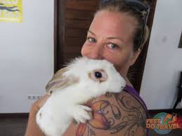 Volunteering at GIli Air Cat Clnic