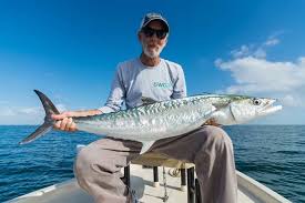 Kingfish Caught Off Ft Myers Beach Fishing With Endless Summer Charters Fort Myers Florida Fishing V Captiva Island Florida Perfect Beach Vacation Florida