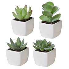 We did not find results for: Mini Assorted Green Artificial Succulent Plants In Square White Ceramic Planters Set Of 4 Walmart Com Walmart Com