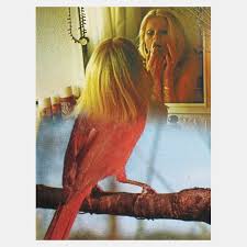Изучайте релизы jean lecointre на discogs. Cecile