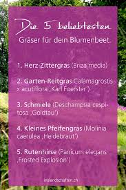 Beet Mit Grasern Gestalten Meine 12 Lieblinge Blumenbeet Gestalten Gras Beete