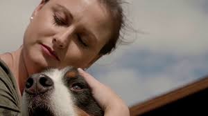 Dallas Pet & Equestrian Photographer