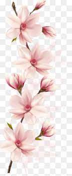 Magnolia Pink One Bud Blooming Pink Vector Magnolia Vector Flowers Vector Flower Drawing Free Watercolor Flowers Flower Art