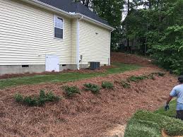 Some items can only be sold to item maniacs. Fuquay Varina Sod Installation Nc Sod Mulch