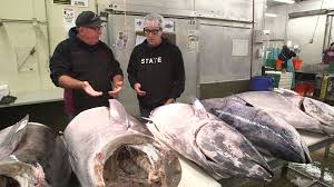 Check spelling or type a new query. Sam The Cooking Guy S Fish Market Tour