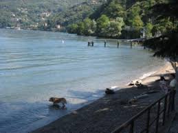 On the market for years, and deeply rooted throughout the lake maggiore area, lago maggiore service offers experience and expertise in the real estate sector. Luino Lago Maggiore Picture Of Luino Lake Maggiore Tripadvisor