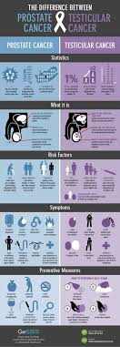 Read about testicular cancer (cancer of the testicle), including information about symptoms, causes, diagnosis and treatment. The Difference Between Prostate Cancer And Testicular Cancer Minnesota Oncology