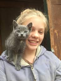 Kitten adoption in Shreveport area