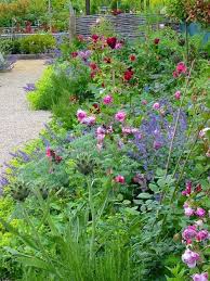 Cottage Garden Planting In Grantham Jpg Cottage Garden Garden Design Plants