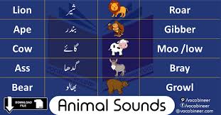 Find out all the answers to fight list verbs for animal sounds, the popular and challenging game of solving words. List Of Animals Sounds Vocabulary In English Vocabineer