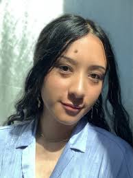 2023 Bay Honors Research Symposium Presentations