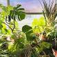 Houseplants 101 - 3 Rivers Outdoor Co., 1130 S Braddock Ave Event Image