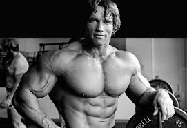 arnold schwarzenegger height weight arms chest