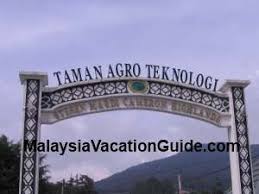 Ben cameron highland sık sık ve ilk kez mardi. Mardi Cameron Highlands