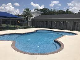 Located in lankanfinolhu, paradise island resort & spa is on the beach. Wesley Chapel Pet Boarding Pet Paradise
