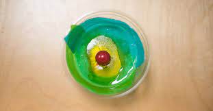 How to build an edible cell? The Microscopic World Making An Edible Cell Model Bju Press Blog