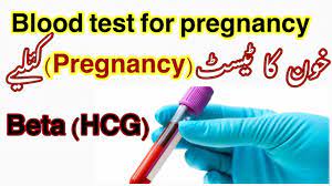 What Is A Blood Pregnancy Test In Urdu Quantitative Hcg Blood Pregnancy Test Beta Hcg Blood Test Youtube