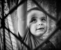 iPhone 15 pro max positioning not the best but didn't wanna disturb him too  much