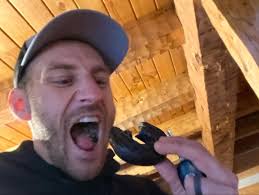 Shane Timberlake (@timber_01) • Instagram photos and videos