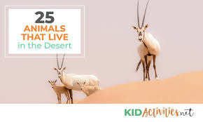 Below is an alphabetical list of all the animals starting with the letter b. 25 Animals That Live In The Desert Kid Activities