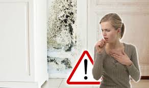 Start with when you wake up. How To Get Rid Of Damp Best Treatment Options To Protect Your Home From Mould Express Co Uk