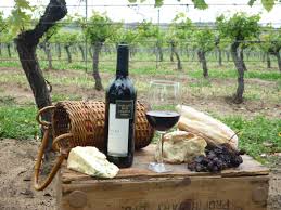 We did not find results for: The Best Wine Tasting Vineyard Gift Vouchers