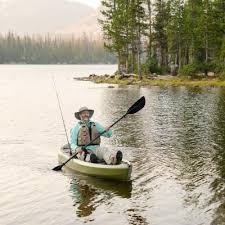 Included with each listed markdown is a secondary expandable list of the nearby stores which that markdown was detected in. Lifetime Tamarack Angler 100 Fishing Kayak Paddle Included