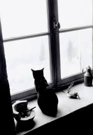 pin on willy ronis 1910 2009