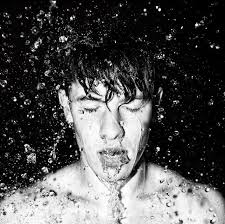 Shawn Mendes Zodiacs