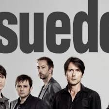 The band is composed of singer brett anderson, guitarist richard oakes, bass player mat osman, drummer simon gilbert and keyboardist/rhythm guitarist neil codling. Suede Band Home Facebook