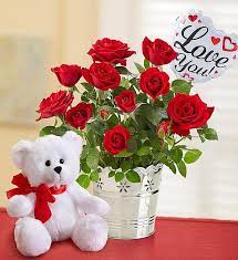 Love You Gift Set Flower Gift Happy Valentines Day Plant Gifts