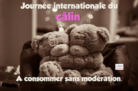Résultat de recherche d'images pour "journée internationale des calins"
