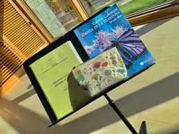 Carla Auld (@carla_auld_flutist) • Instagram photos and videos