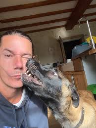 Is Cole's dog food meeting aafco nutrient profiles?