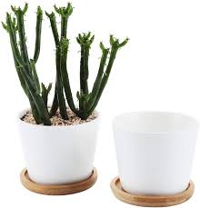 Maybe you would like to learn more about one of these? Buy T4u 8 5cm Ceramic White Round Simple Design Succulent Plant Pot Cactus Plant Pot With Bamboo Tray Package 1 Pack Of 2 Online In Turkey B01eucged0