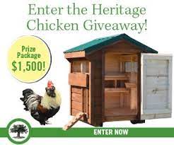 mother earth news heritage chicken starter kit giveaway heritage chickens chickens backyard chicken coop kit