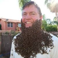 400+ "Wasp" profiles