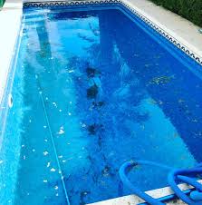 Clients Pool I Checked Out Yesterday Watch This Space Next Week For What It Looks Like After The Clean Poolcleaning Poo In 2020 Pool Maintenance Pool Cleaning Pool