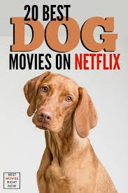 Our List Of The Best Dog Movies On Netflix Will Give You All The Feels Click To Find The Perfect Movie Whether You Re A D Dog Movies Best Dogs Dog Treadmills